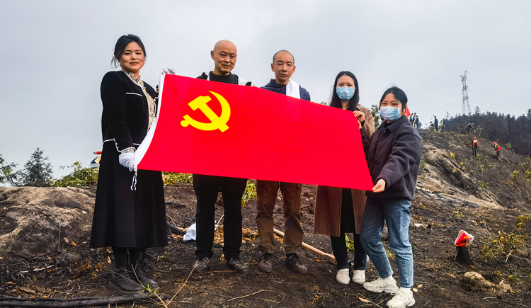 山火后植树造林